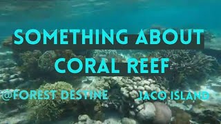 preview picture of video 'Jaco Island/ Stunning coral life'