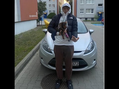 PIGLUSS - FORD FIESTA (SKIT)