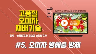 [ 고품질 오미자 재배기술 ] part5. 오미자 병해충 방제