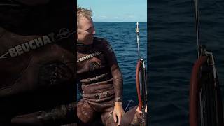 Spear Tagging Yellowtail Kingfish #spearfishing #ultimatefishing