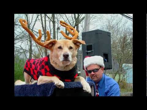 Traveling Piano Man Danny Kean and a Reindeer Dog Named Boner
