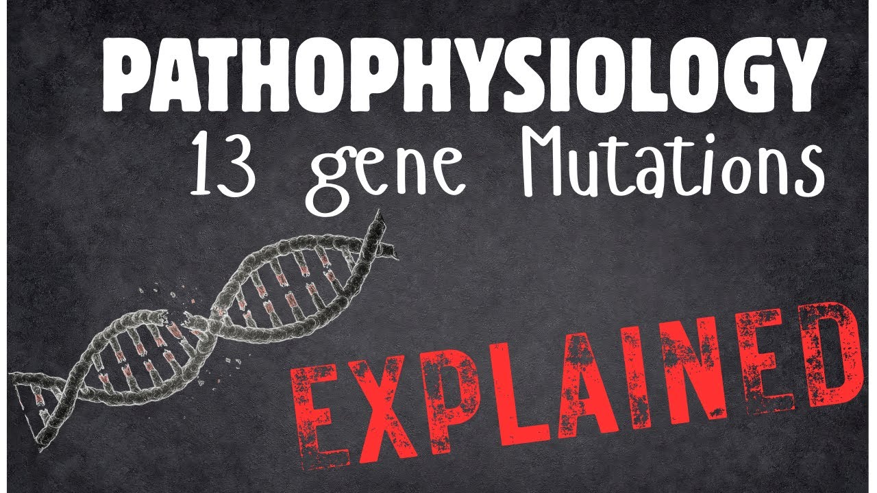 PATHOPHYSIOLOGY essentials EXPLAINED 13   gene Mutations