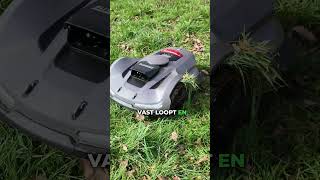 Ik Raak Mijn Grasmaaier Niet Meer Aan… Dit Is Waarom (Sunseeker Elite X7 Gen 2 Robotmaaier)
