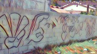 Byrd Daddy Cool Breeze - GangBanger
