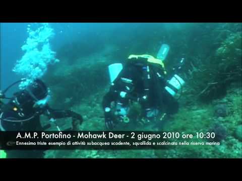 Subacquea scadente parte 1