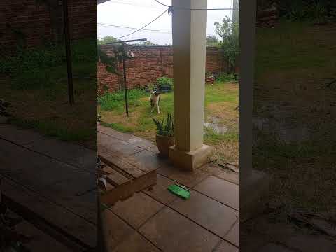 Lluvias en QUITILIPI Chaco 5.11.2024