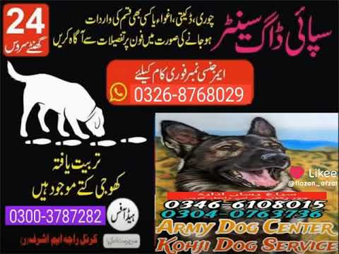 𝗔𝗿𝗺𝘆 𝗱𝗼𝗴 𝗰𝗲𝗻𝘁𝗲𝗿 𝗿𝗮𝗵𝗶𝗺 𝘆𝗮𝗿 𝗸𝗵𝗮𝗻 03003787282