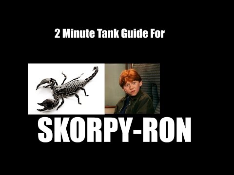 2 Minute Tank Guide - Skorpyron LFR/Normal/Heroic