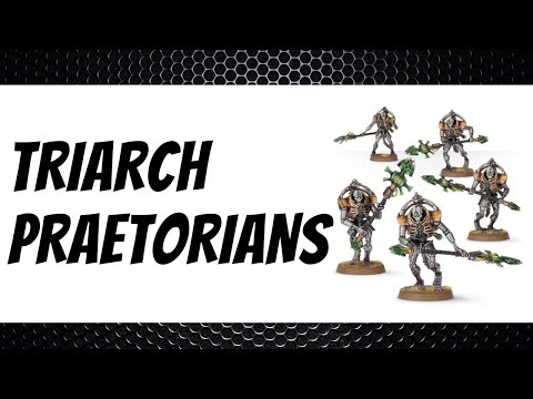 Necron TRIARCH PRAETORIANS Review  - 9th Edition Codex - Warhammer 40k