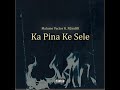 Malume Vector Ka Pina Ke Sele Ft NJivaRR