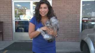 Pratt's Pet Store