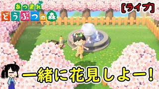 【あつ森】ゆる無人島生活垂れ流し(2020.04.04夜)