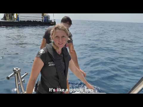 Gombessa V Expedition Mediterranean Planet - Episode 09