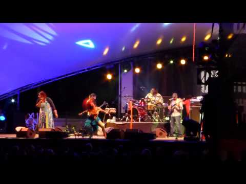 Arrested Development live at WOMADelaide 2014