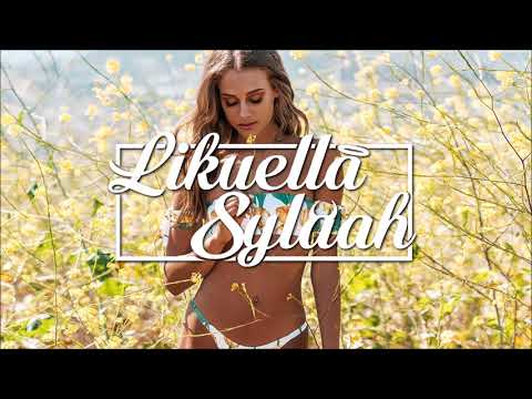 Madilyn Bailey - Titanium (Sowk KrDrN ✘ TrixNill Reggae Remix)
