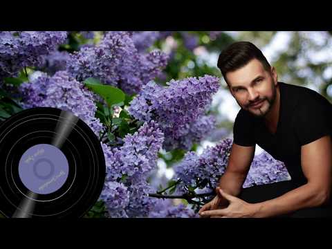 Igoris Jarmolenka - Alyvos Žydės