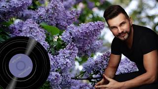 Download lagu Igoris Jarmolenka - Alyvos Žydės mp3