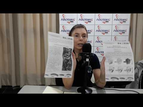 Projeto Amigos do Clima amplia ações e lança boletim boletim para o agronegócio