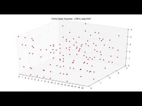 Inside a Liquid State Machine