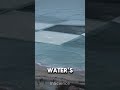 The Mystery of Square Waves🌊