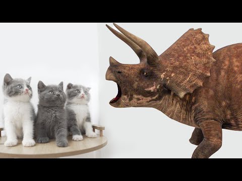 Kittens vs Dinosaurs