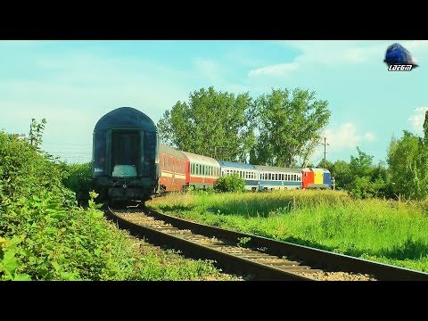 Jimmy Tricolor 64-0990-3 & IR1742 Satu Mare-București Nord in Săcuieni Bihor - 10 June 2019