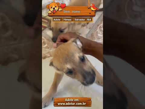 Vídeo de Sem nome 