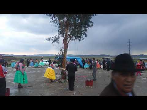 Tarkada y chacallada show pagador de acora puno