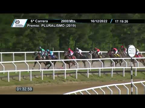 221216 c06 - MESTRE DI OURO - HIPODROMO LAS PIEDRAS
