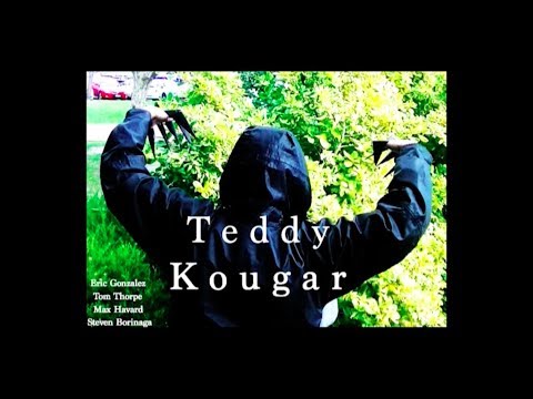 Teddy Kougar