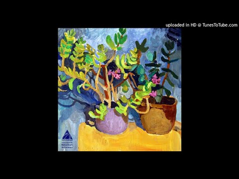 Andrey Djackonda - Calatoresc