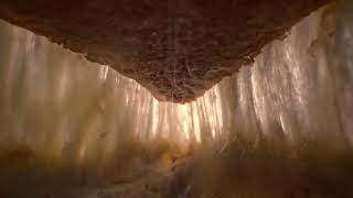 Papa John´s A Recipe Years in the Making: Pan Pizza 🍕🔥✨