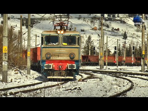 Trenuri de Marfă în Gara Mestecăniș 🚊🏔🚊 Cargo Trains in Mestecăniș Station - 18 Martie 2025