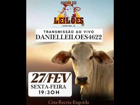 Fazenda Nova - GO   27/02/2026
