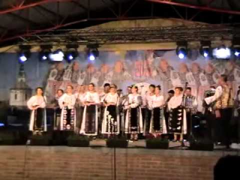 Orchestra si grupul ,,Fetele de la Costei,, - Uzdin 2015