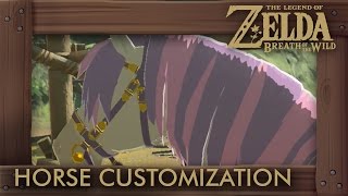 Zelda Breath of the Wild - All Horse Customizations (How to Change Mane, Bridle & Saddle)