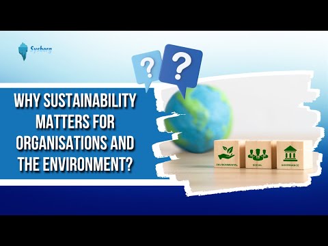 Why Sustainability Matters for Organisations and the Environment