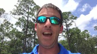 What Are Lovebugs? MASSIVE Invasion In Florida!!