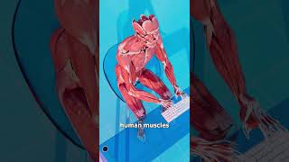 Download lagu How Strong Are Elephants? 🤔 mp3