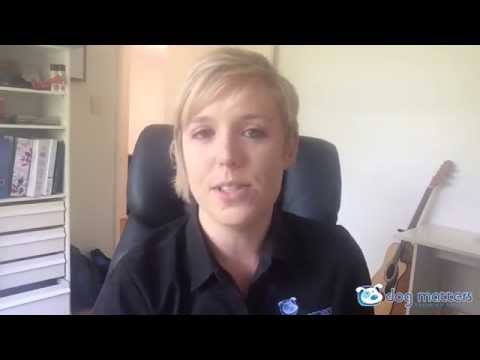 Quick Tip: Can You Teach an Old Dog New Tricks?