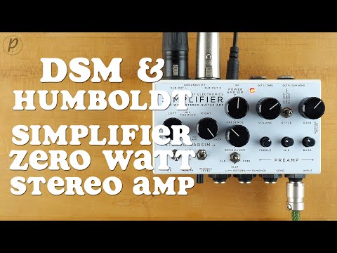 DSM & Humboldt Electronics Simplifier Zero Watt Stereo Guitar Amp