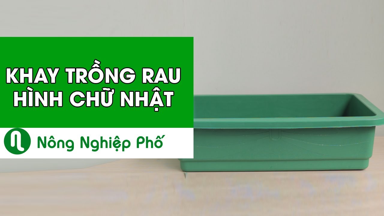 - Chậu trồng rau hình chữ nhật 63x41x16cm - Nhựa PP bền màu, thoát nước tốt