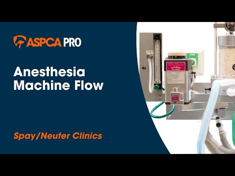 Spay/Neuter Anesthesia: Anesthesia Machine Flow