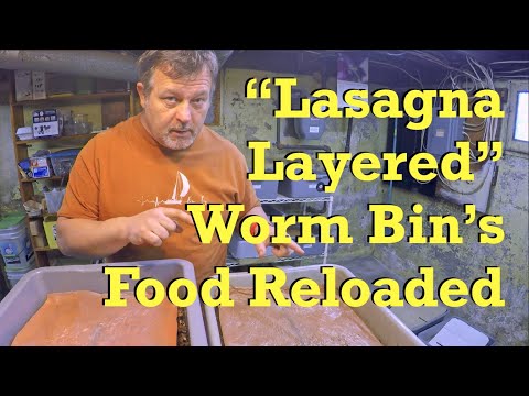 52-day "lasagna style" feeding reloaded & ANC cocoon nursery - worm farm vermicompost