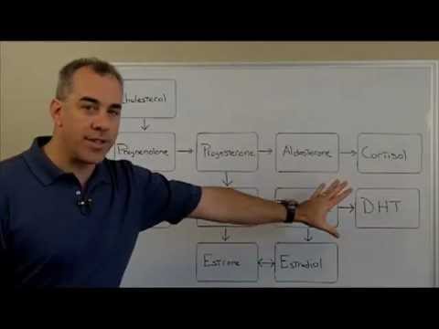 Low Testosterone? It's not that simple! - YouTube