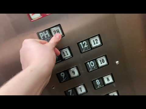 Epic Westinghouse/Montgomery Traction Elevators @ Courthouse Plaza, Downtown Miami, FL