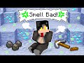 CLYDE Smells Bad In MINECRAFT