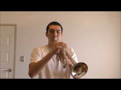 Timmy Trumpet & Savage - Freaks (Cover)