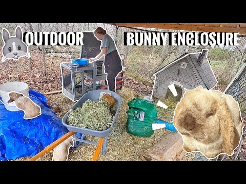 YouTube video about: How far can a rabbit run in the woods?