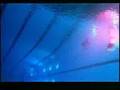 The Blow - True Affection (Depth Solitude Remix ...